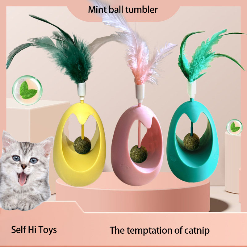Sağlıklı Kedi Kedi Nanesi İnte - Healthy Snacks Food incelemesi ve fiyatı