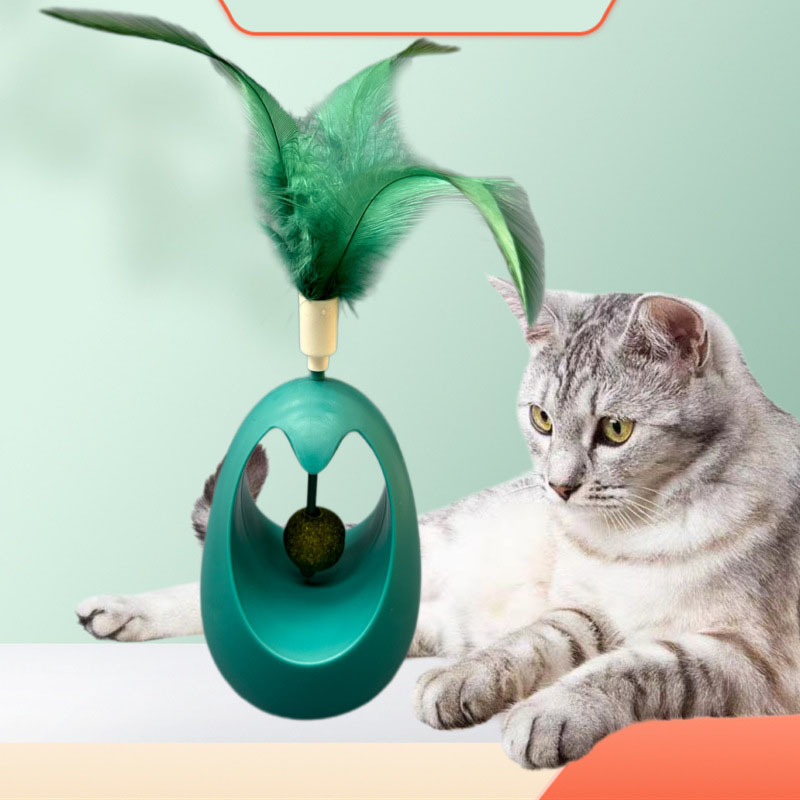 Sağlıklı Kedi Kedi Nanesi İnte - Healthy Snacks Food incelemesi ve fiyatı